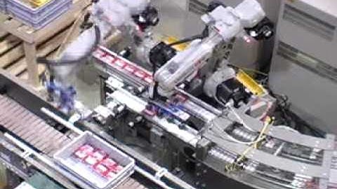 Two HP6 robots packing