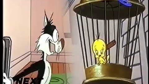 (Extremely Ultra Rare) Boomerang (UK): Sylvester & Tweety "Coming Up Next" Bumper (May 2000)
