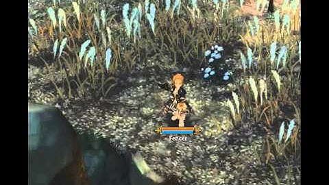 ToS Fencer Skill Lunge