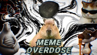 Savuoon - Meme Overdose (Phonk Remix)