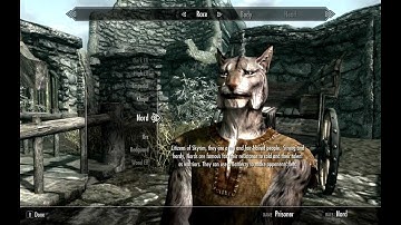 Skyrim Character Customization [w/commentary]