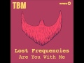 Lost frequencies  are you with me