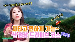 뻥~뚫린 산정상 드라이브코스 추천 TOP5 "산꼭대기까지 새벽 드라이브??” (고정댓글 꼭 보세요~)