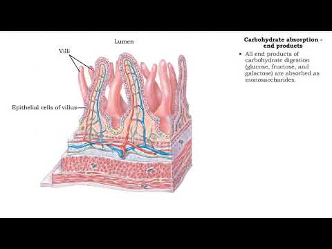 Video: Ce este soluția de carbohidrați fosforați?