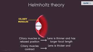 Helmholtz Theory