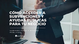 Cómo Acceder A Subvenciones Y Ayudas Públicas Para Tu Empresa Workcapital