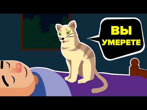 Видео: Как юридически спланировать уход за вашим питомцем после того, как вы умрете