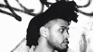The Weeknd- Shameless (Slowed Down)