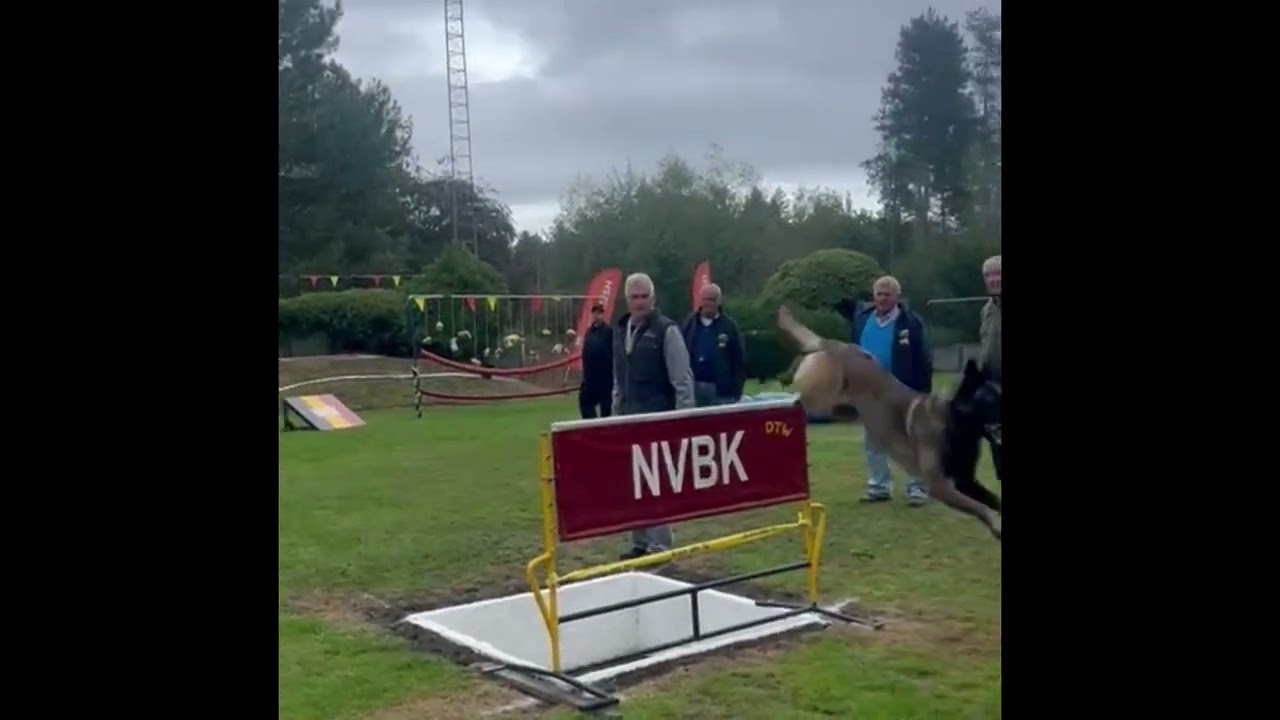 Regional Champion Of Antwerp NVBK 2025