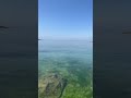 Aguas cristalinas
