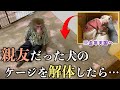 親友だった犬が亡くなってケージを解体…なにもない場所を見たお猿さんの行動が泣ける