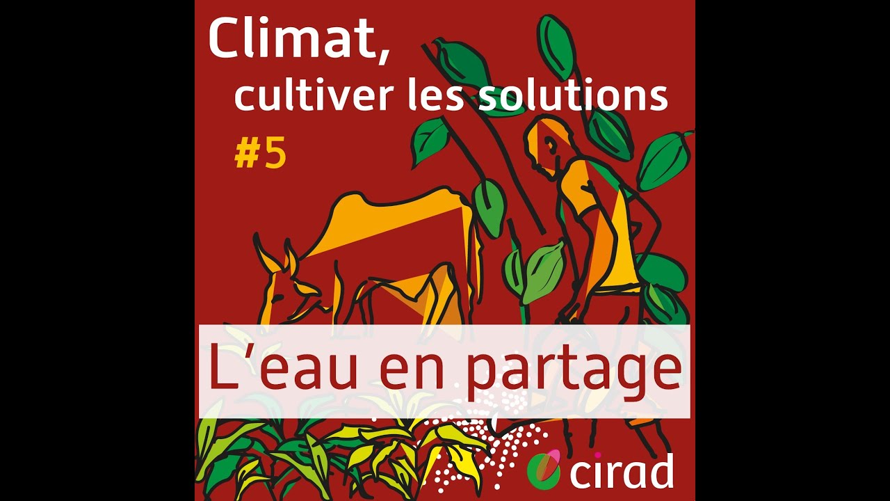 L’eau en partage #5 | Climat, cultiver les solutions
