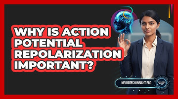 Why Is Action Potential Repolarization Important? - Neurotech Insight Pro