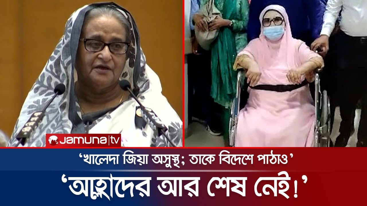 'কী খেলে তাড়াতাড়ি লিভার পচে সেটা তো সবাই জানে' | PM | Khaleda Zia