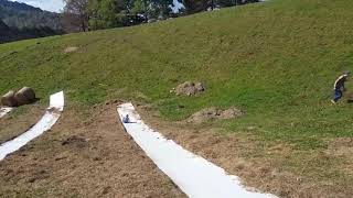 Pumpkin patch slide.