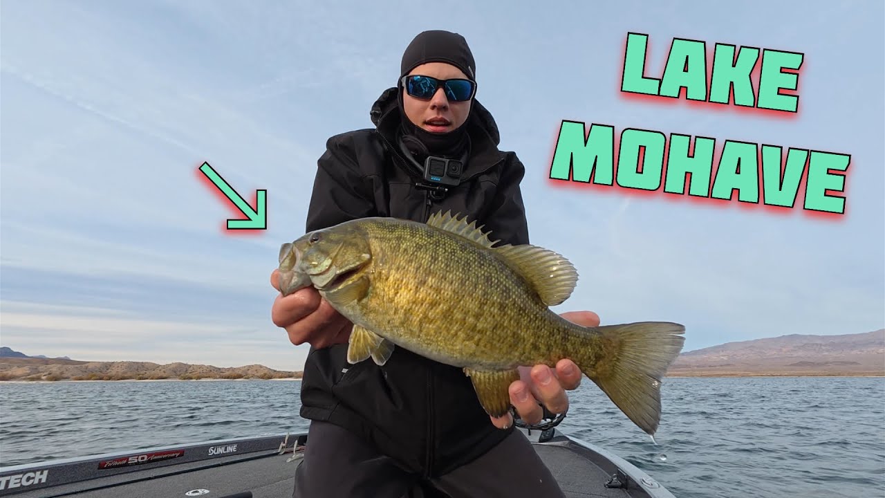 Lake Mohave Bass Fishing • December 2024
