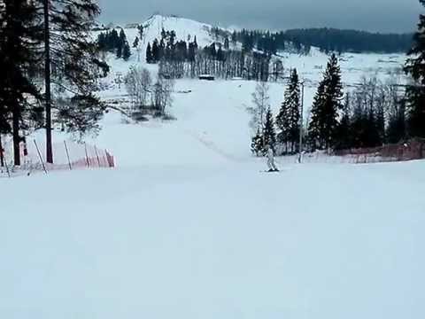 Школа бмв в сорочанах