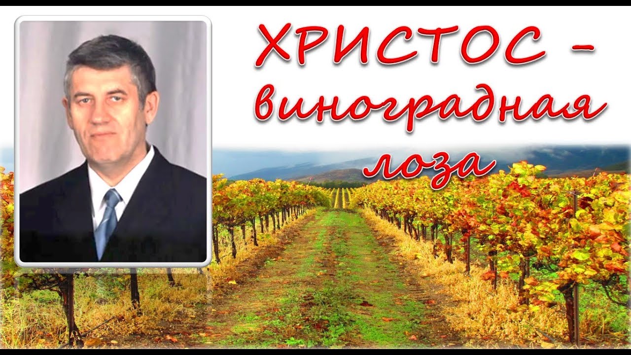 Карина виноградная шоп