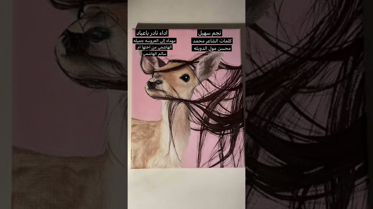 لاح نجم سهيل اداء/ نادر باعباد