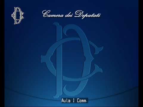 Video Roma - Polizia locale - Audizione - ANIVP e ANCI (23.09.25)