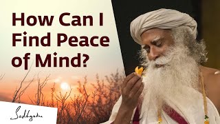How Can I Find Peace of Mind?