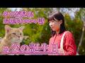 【はかねこ日記】※第2回【父の誕生日】ネコが見たお墓参りのちょっといい話！ネコの声はともさかりえ#ネコ #猫 #ともさかりえ #お墓参り #猫のいる暮らし #猫動画 #猫好きさんと繋がりたい