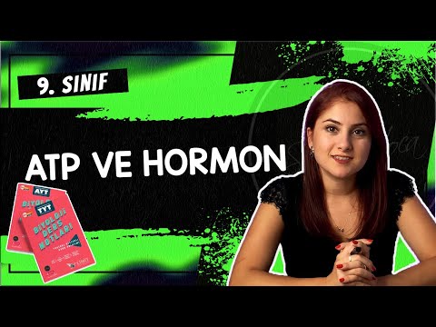 9) ATP VE HORMON | 9. SINIF | TYT BİYOLOJİ DERS NOTLARI | 2024