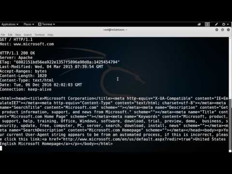 how to use  Basic Tools   Telnet Client