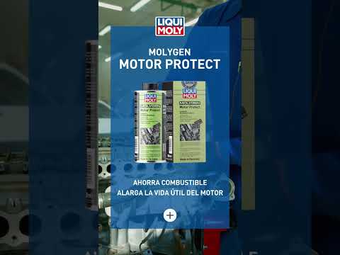 Molygen Motor Protect