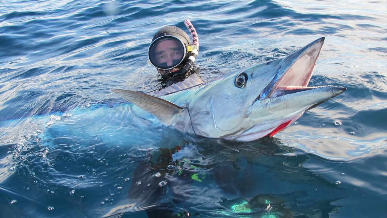 Spearfishing with Barry Paxman