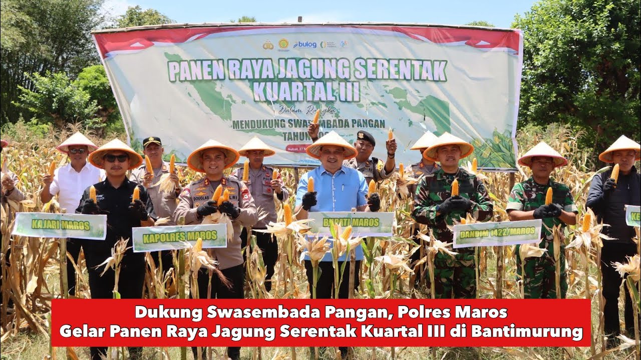 Dukung Swasembada Pangan, Polres Maros Gelar Panen Raya Jagung Serentak Kuartal III di Bantimurung