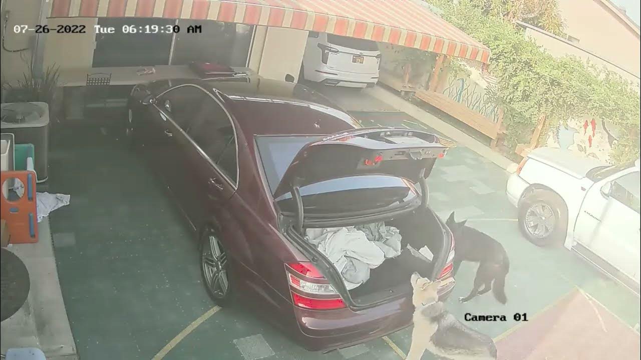 trunk opens by itself once daily YouTube