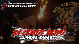 Download lagu DJ BANTENGAN PUTRA RACING JAYA❗DI COKOT BOYO❗By @stm revolution