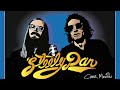 Peg DJ Mos Jef Remix Steely Dan 