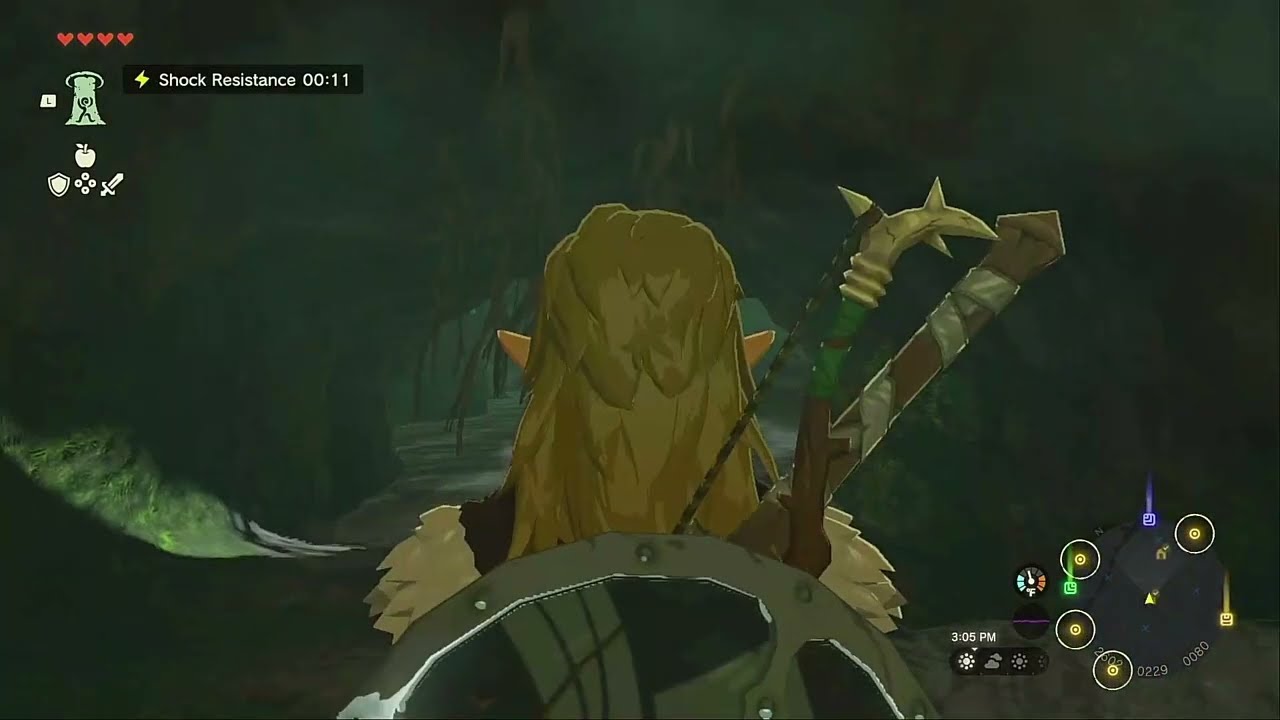 [ Legend of Zelda; TotK ] Tabahl Woods Cave | Side Mission