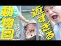 バリバリ近い最強の動物園に行ってきた！【宇都宮動物園】