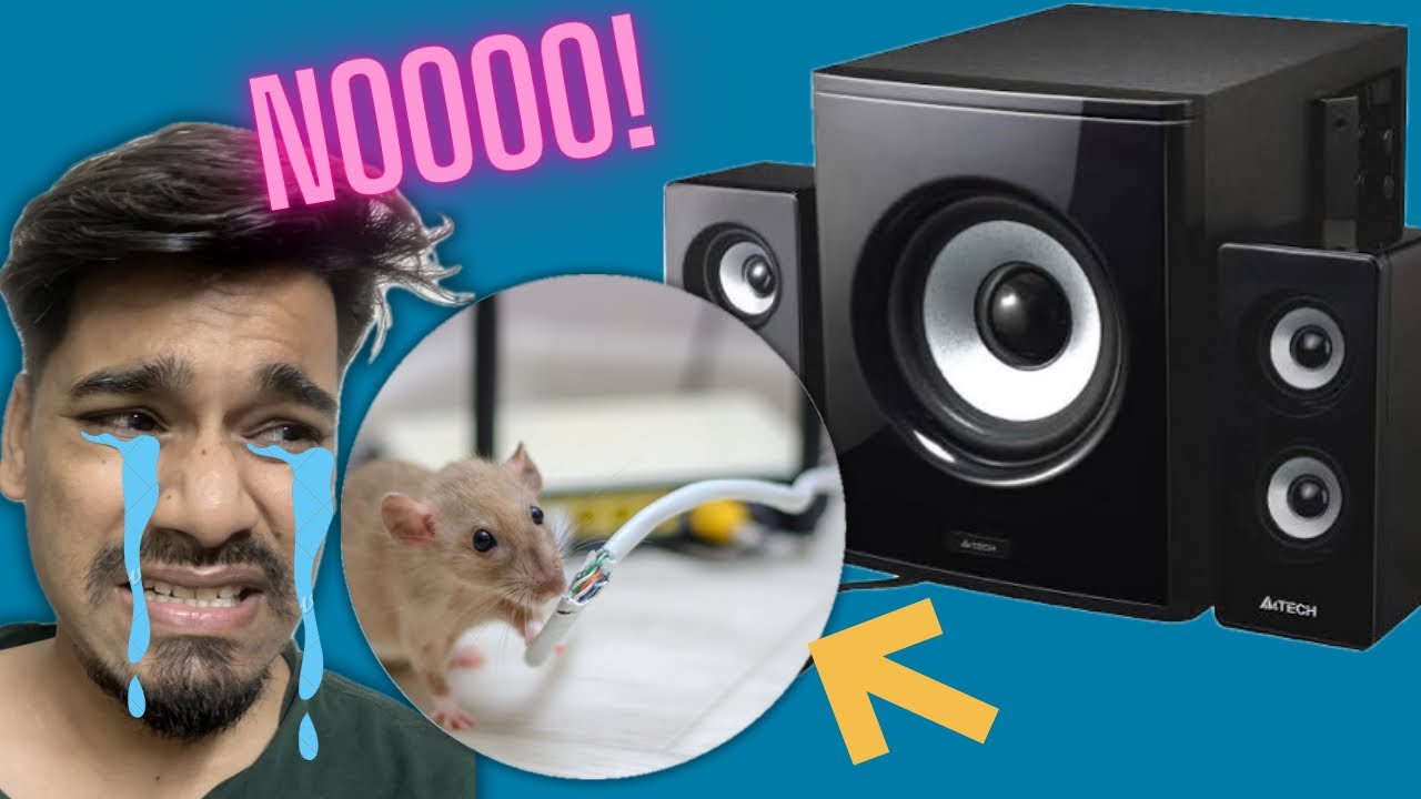 Mouse Destroy My Speaker Wires | Full Repair