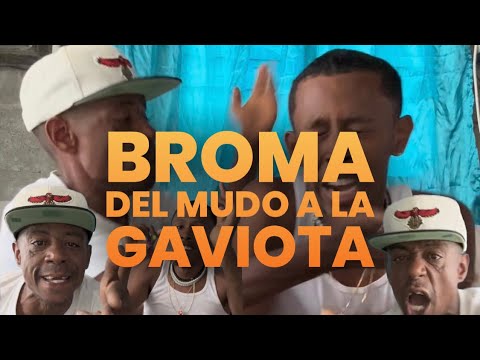 Broma del mudo