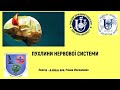 Лекція &quot;Пухлини нервової системи&quot; та &quot;Особливості пухлин дитячого віку&quot;