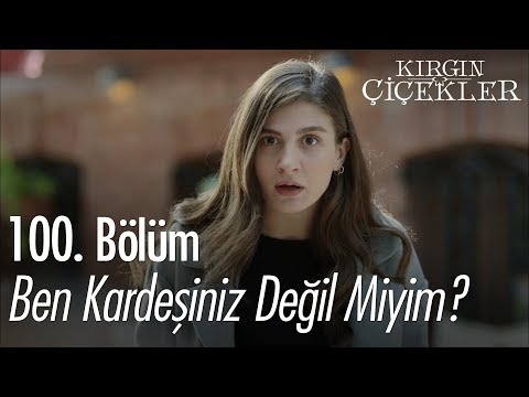 Ben kardeşiniz değil miyim? - Kırgın Çiçekler 100. Bölüm