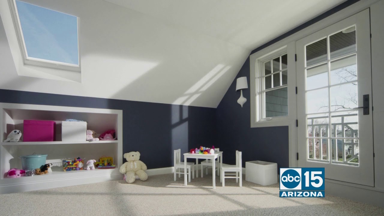 Empire Today has kid and pet friendly flooring YouTube