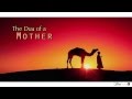 Story of a mothers dua