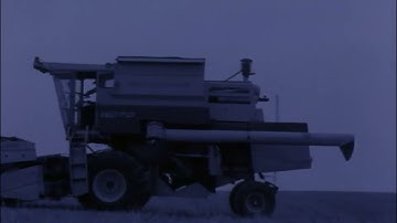 CLUTCH   A Shogun Named Marcus