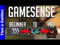 4 Levels of Gamesense : Beginner to Pro (ft. forZe Jerry)