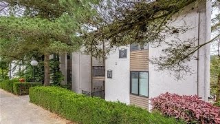 10512 NE 32nd Place F203 Bellevue 98004