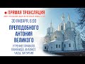 Прямая трансляция. Прп. Антония Великого 30.1.21 г.