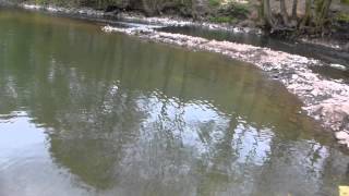 Exkursionen Nrw 29 - Zustand Der Lenne Renatuierung?