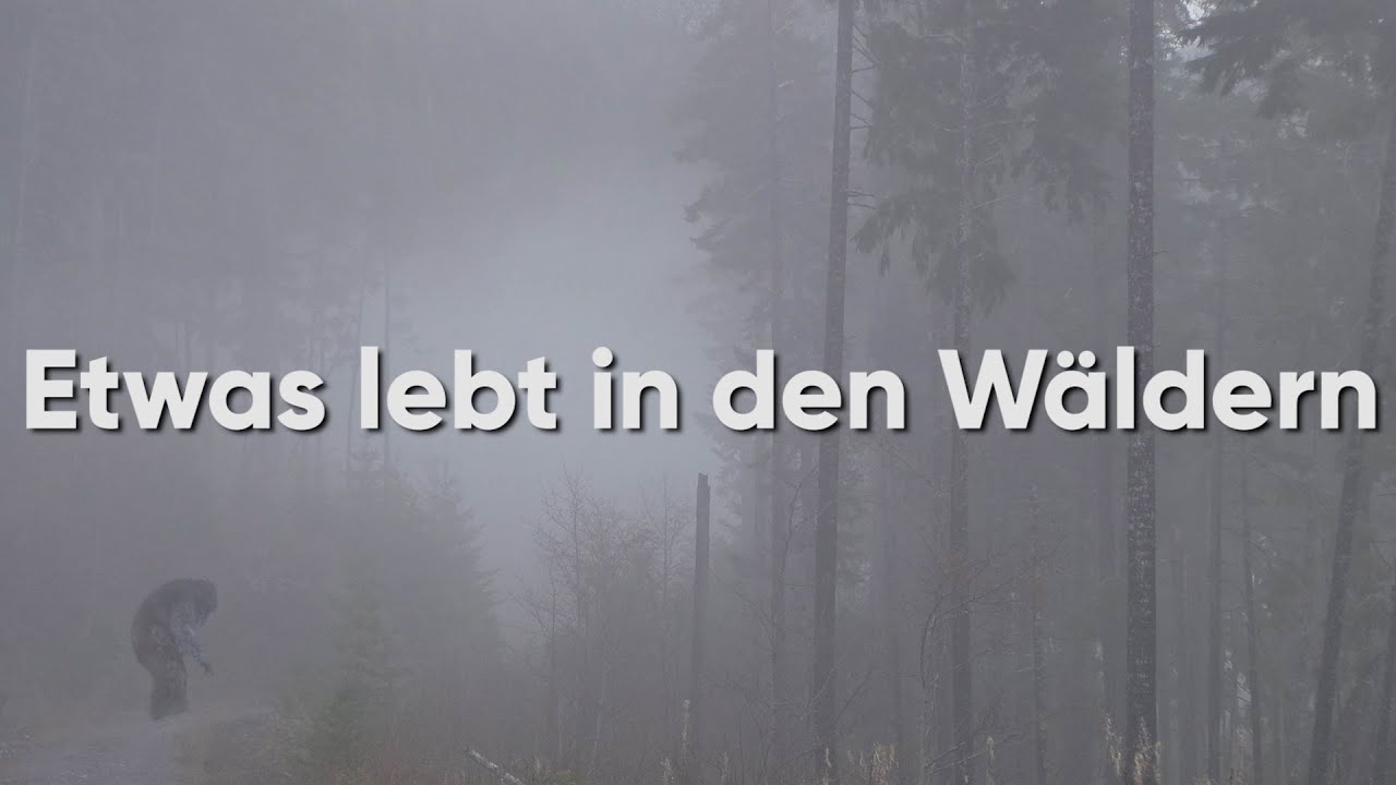 Tief in den Wäldern lebt etwas, keiner wird mir glauben.. (Creepypasta)