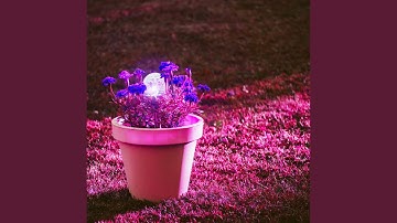 Hypnotic Backdrops for Leader Events