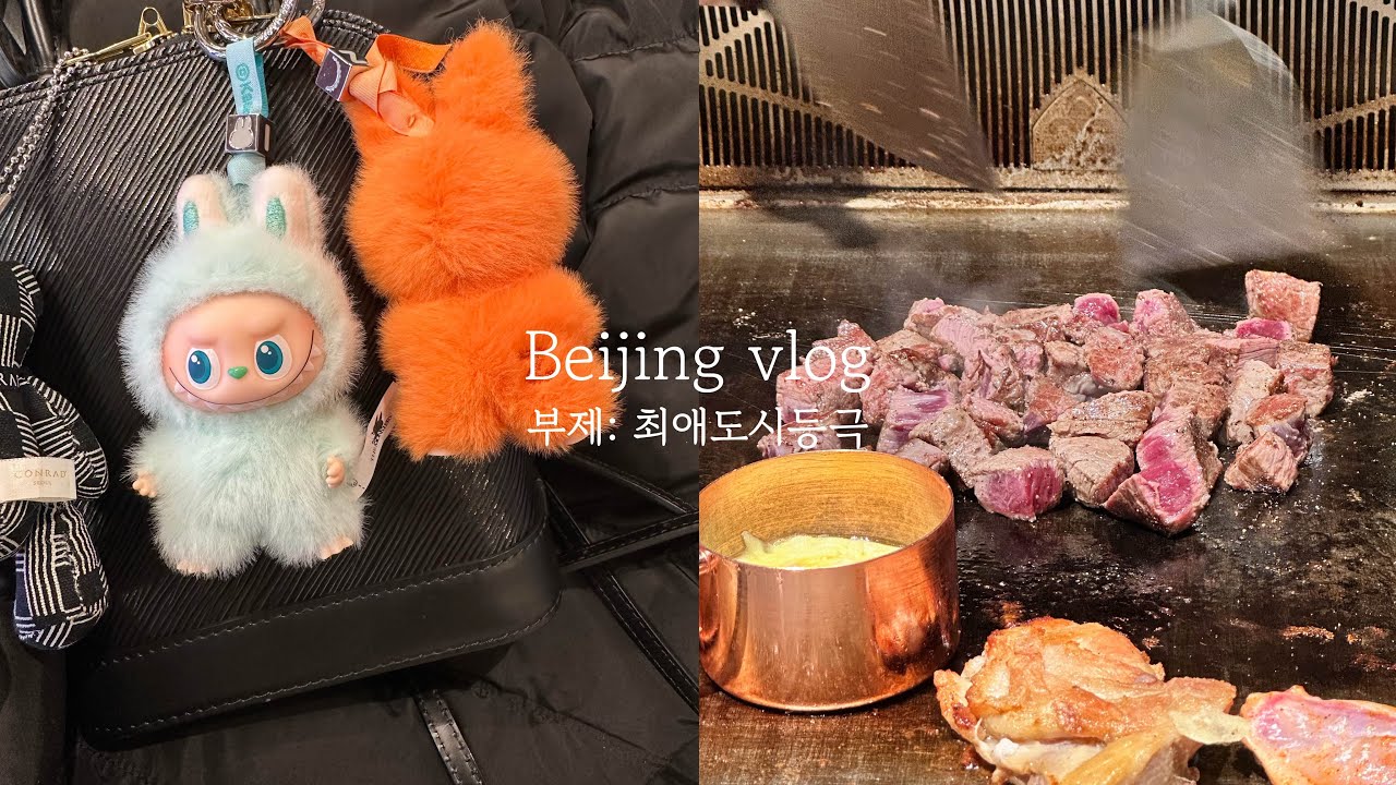 Beijing vlog 최애도시등극 : 베이징여행 / 소피텔호텔 / 왕푸징 apm 맛집 / 조양서커스 / 싼리툰 / 테판맛집 / 난뤄구샹 / 스차하이 / 베이징공항라운지 etc.